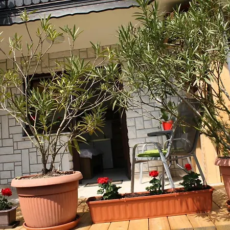 Apartman Emily Spodnje Gorje